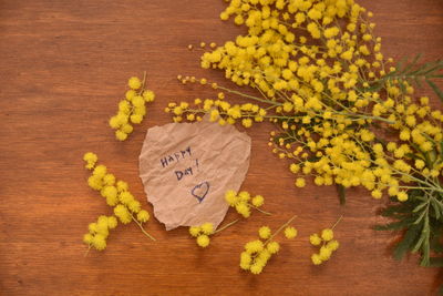 High angle view of yellow flowering plant on table