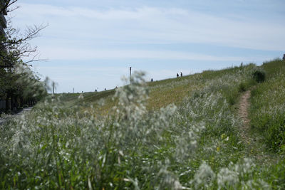 Scenic view of land against sky