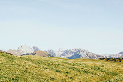 Scenic view of landscape against clear sky