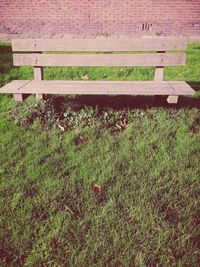 Plants growing on grassy field