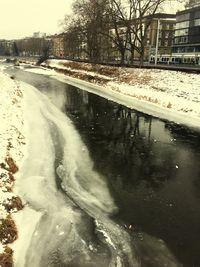 Reflection of trees in water