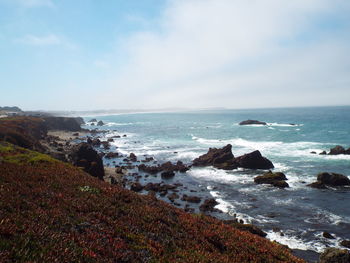 Scenic view of sea against sky