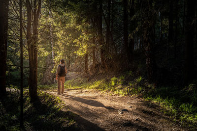 Man walking on a forest road towards the evening sun