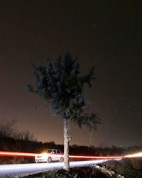 View of trees at night