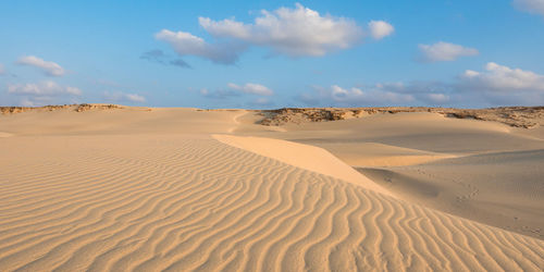 Sand at beach against sky