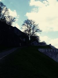 Bare trees against sky