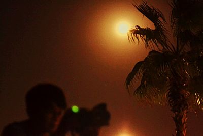 Silhouette of tree against sky at night