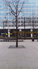 Bare tree by footpath against buildings in city