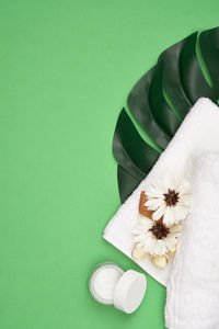 High angle view of white flower on green leaf