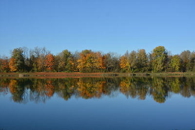 Scenic view of lake by trees against clear blue sky