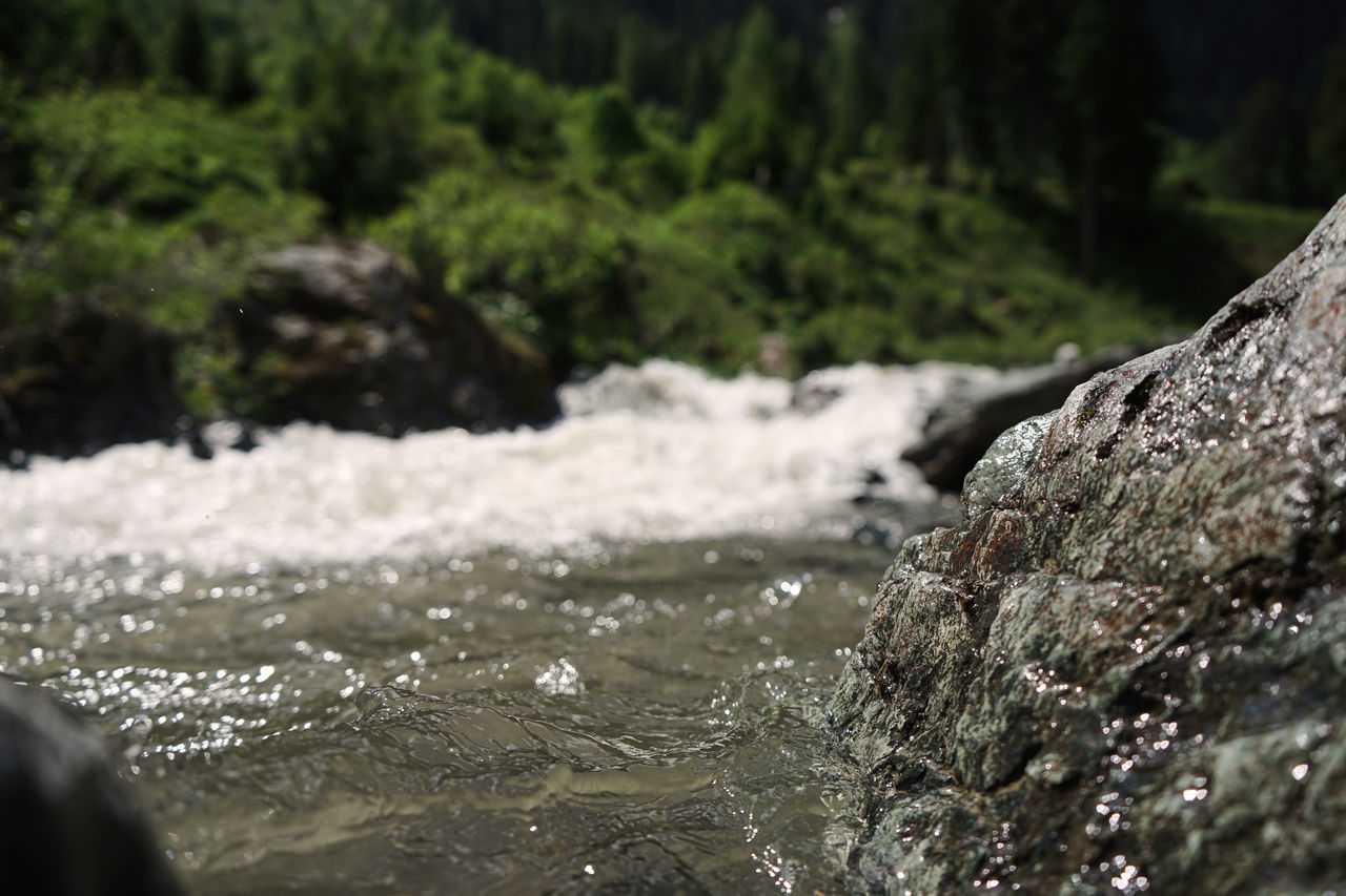 RIVER FLOWING THROUGH ROCKS IN FOREST