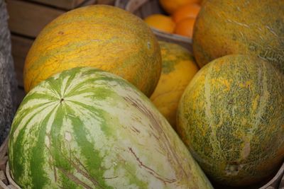 Close-up of pumpkins