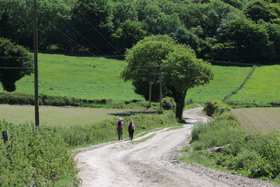 Rear view of people walking on road amidst agricultural field