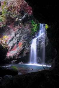 Scenic view of waterfall in forest