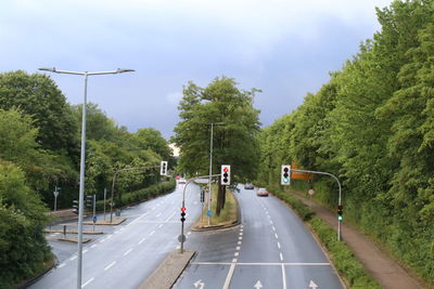 Vehicles on road amidst trees against sky in city