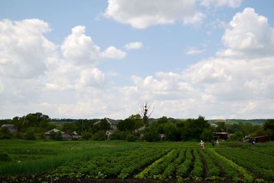 Scenic view of field against cloudy sky