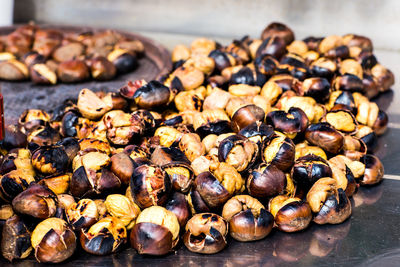 High angle view of shells on table