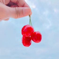 Close-up of hand holding strawberry