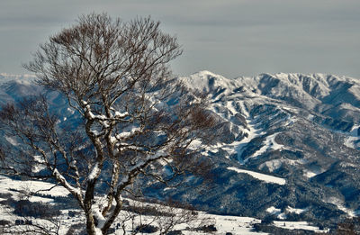 Scenic view of snowcapped mountain against sky