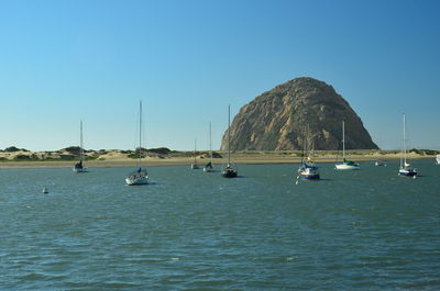 Sailboats in sea against clear blue sky