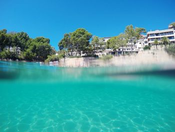 Mediterranean sea by trees against clear blue sky