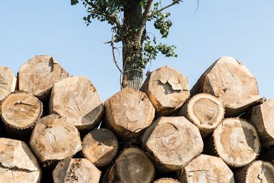 Stack of logs against sky