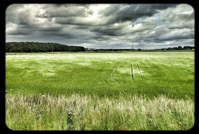 Scenic view of grassy field against cloudy sky