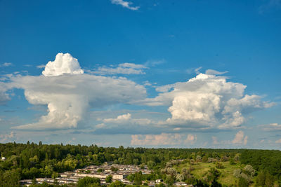 Scenic view of trees on field against sky