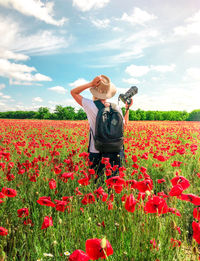 Rear view of backpacker holding camera while standing amidst flowering plants on field