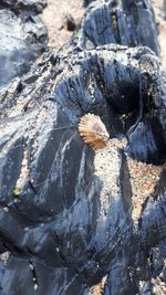 Full frame shot of rocks on rock