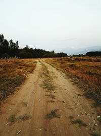 Dirt road passing through field