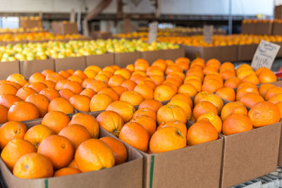 Close-up of fruits for sale at market stall