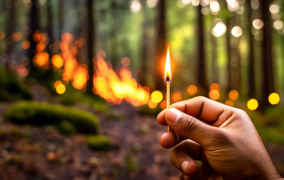 The hand holds a lit match. burnt forest in the background. concept of arsonist, arson, fire, danger