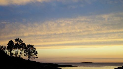 Silhouette trees by sea against sky during sunset