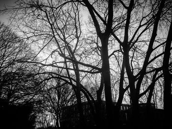 Low angle view of bare trees against sky at sunset