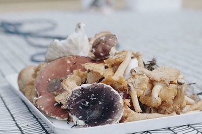 Close-up of food in plate