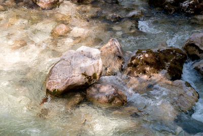 Rocks in stream