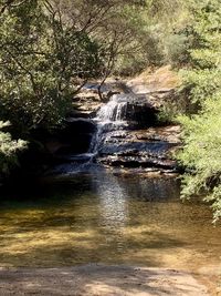 Scenic view of waterfall in forest