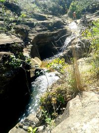 Scenic view of waterfall in forest