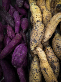 Several types of tubers are the staple foods of rural areas