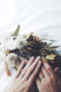 Close-up of hand holding flowering plant