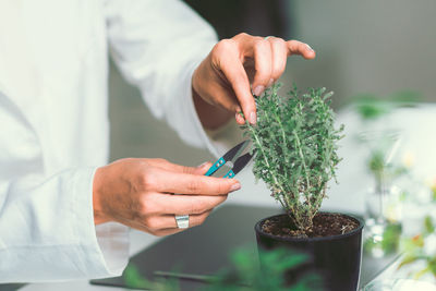 Midsection of female scientist cutting potted plant in laboratory
