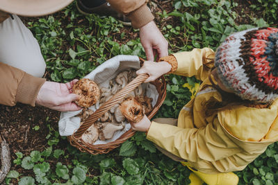 Man and granddaughter collecting mushrooms in basket at forest