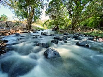 Stream flowing through rocks in forest