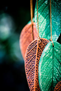 Close-up of leaf shaped decoration 