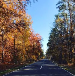 Empty road along trees during autumn