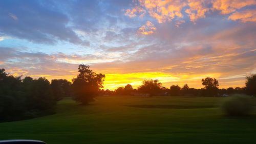 Scenic view of grassy field against sky at sunset