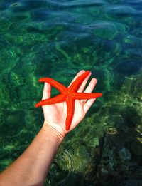 High angle view of person hand in sea