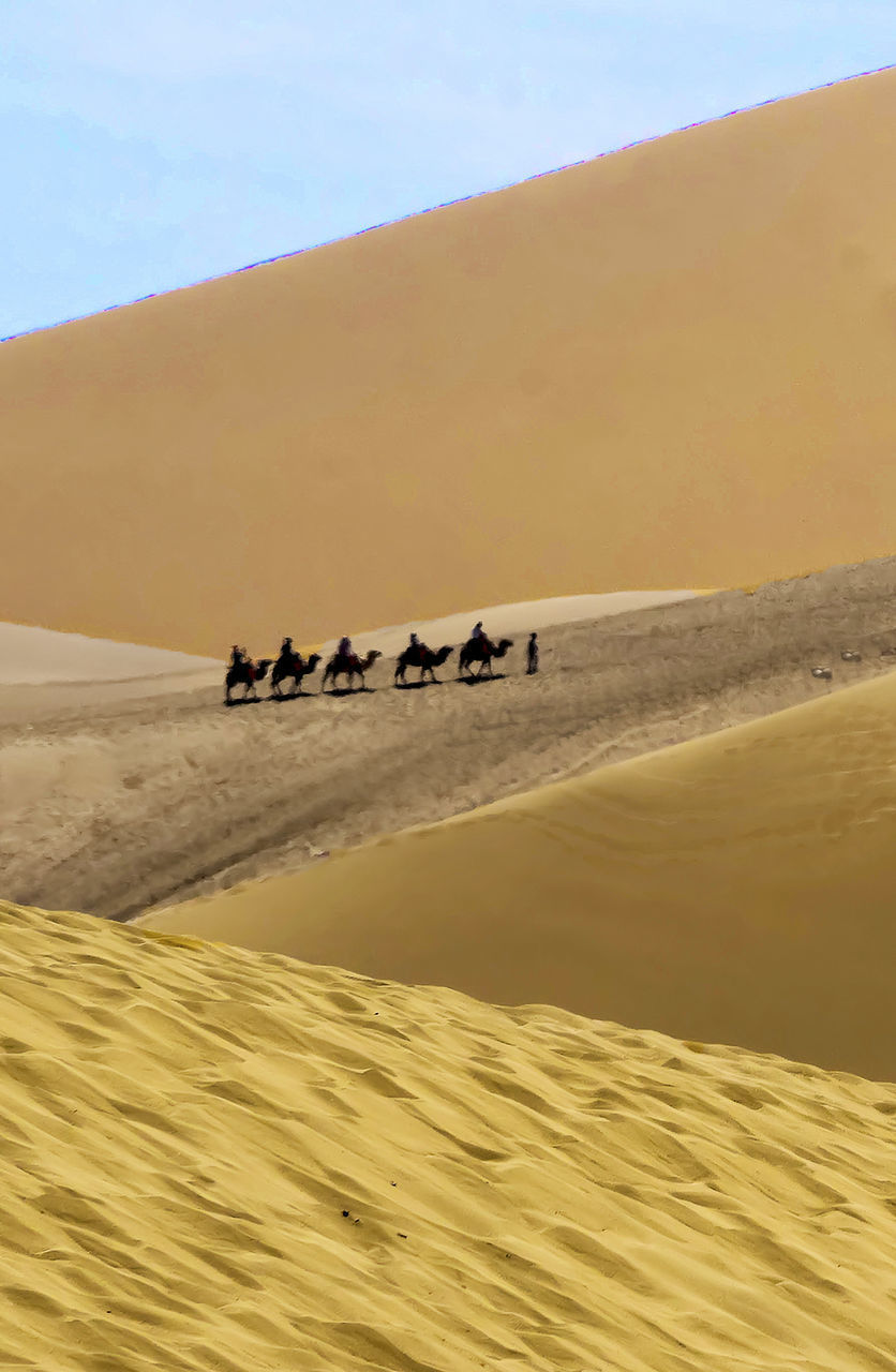 SCENIC VIEW OF SAND DUNES IN DESERT