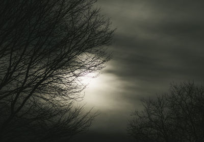 Low angle view of bare tree against sky